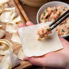 WON TON SKIN WRAPPERS